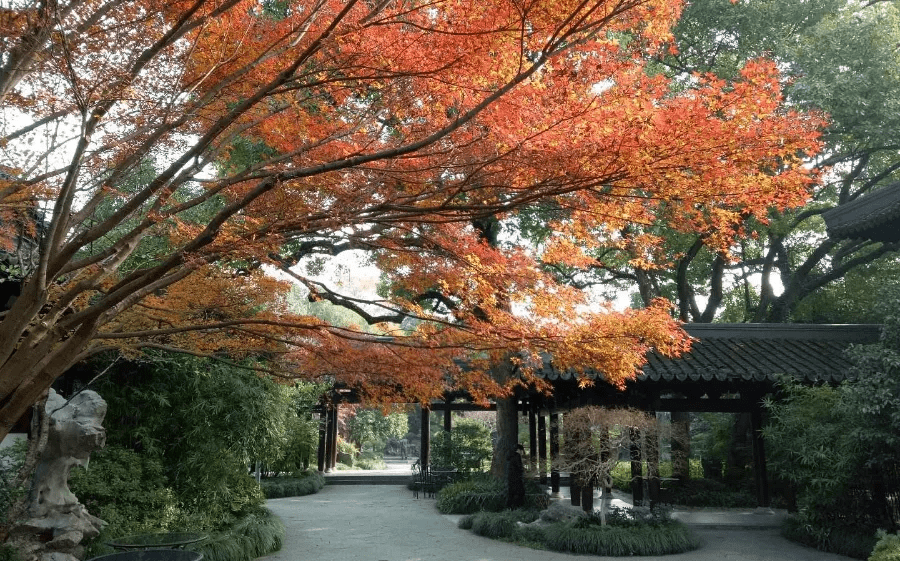 如果想要闹中取静,漫步清幽之地,只需从灵隐寺沿着天竺路走上一段.