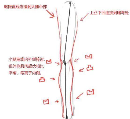 「cg原画插画教程」动漫人物腿部画法介绍,腿部不好该
