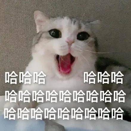 李沁|原创李沁杨洋复合了?那乔欣怎么办啊?