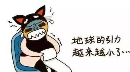 893eae30b5344bdc9c1a88cf86e9ce56.jpeg