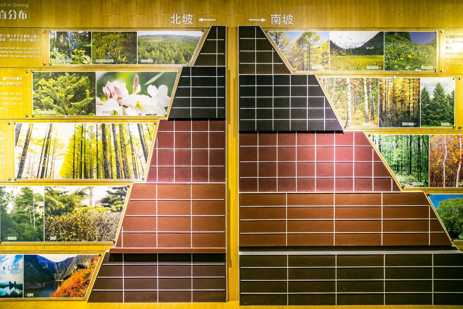 秦岭|秦岭为何被尊为“中华龙脉”：走进世界最大植物园，大自然之敬畏
