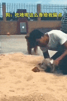 搞笑趣图gif:我妈让我减肥,让我吃素月饼