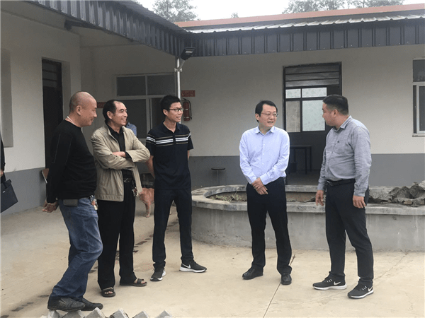 唐河县县委副书记,县长贺迎到大河屯镇调研脱贫攻坚工作