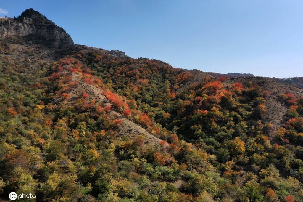 新疆霍城大西沟中华福寿山层林尽染 醉晚秋