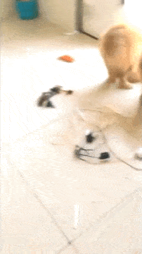 hello猜成语_看图猜成语