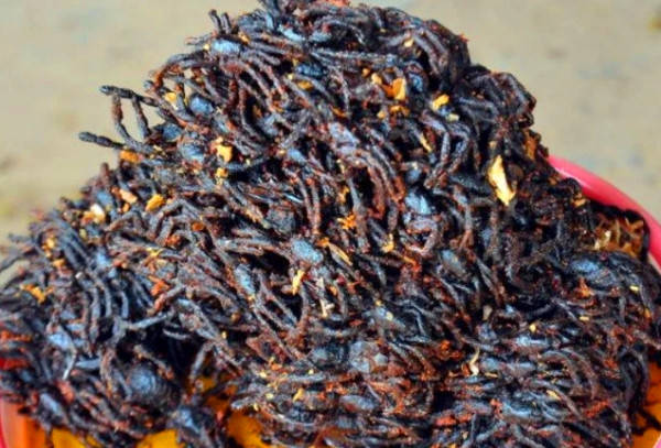 见闻记录|大蜘蛛张牙舞爪 烧烤炸张口吞下