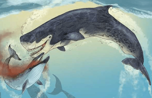 原创史前巨型海霸梅尔维尔鲸,如果没有灭绝将会怎样?