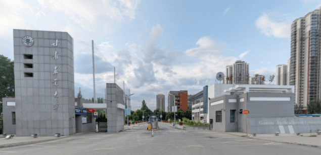 2020年甘肃的大学排名_2020软科中国最好学科排名发布!甘肃8所高校61个学科