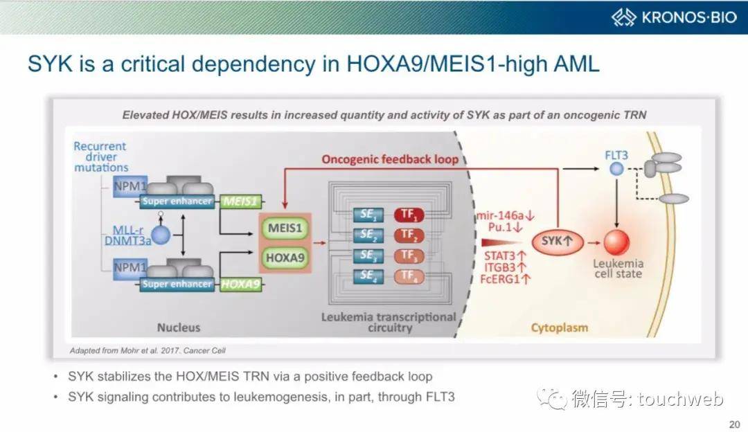 Funds|原创Kronos冲刺美股：拟募资1.7亿美元 路演PPT曝光