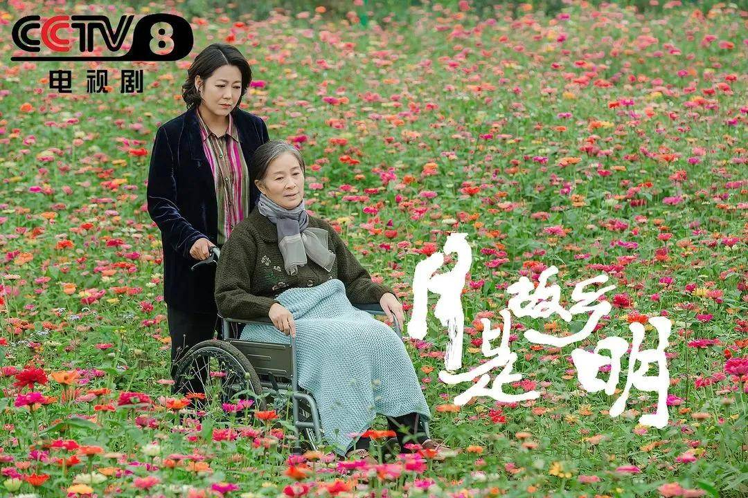 电视剧《月是故乡明》将镜头对准了四川省内江市,讲述了事业有成的女