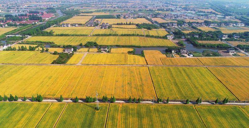 江苏gdp破千万的县_江苏gdp破10万亿图片(2)