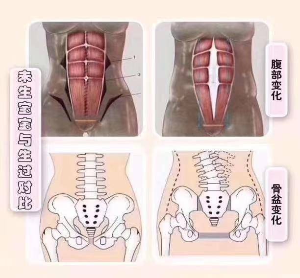 怎么样才能减脂最快最有效 449df61b2c6f4aa382f58ef2889bcd34.jpeg