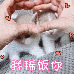 可爱猫咪表情包:你走开,不要碰窝