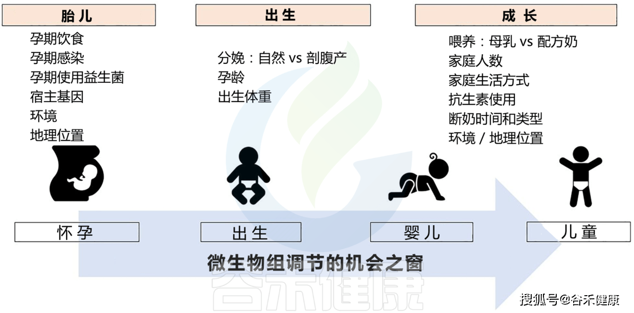 微生物群对三大过敏性疾病发展的影响