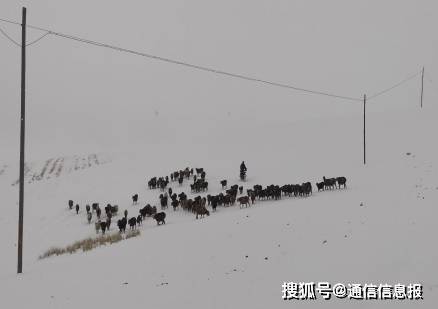 雪遇见太阳就融化是什么原理_太阳出来雪融化的图片