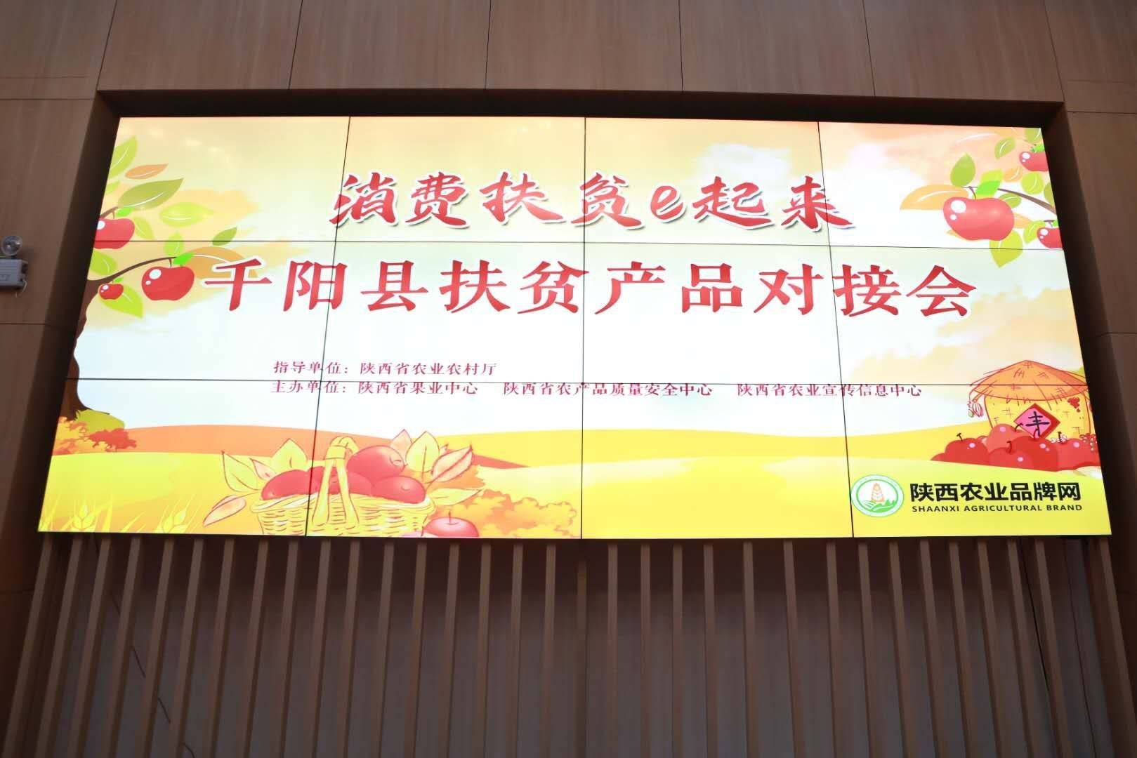 百花村|消费扶贫e起来走进宝鸡千阳 探访苹果产业发展千阳模式