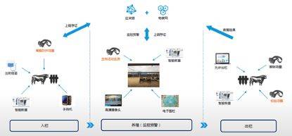 区块|狙击者财富倍增孟建中：区块链的下一站，融合与共生