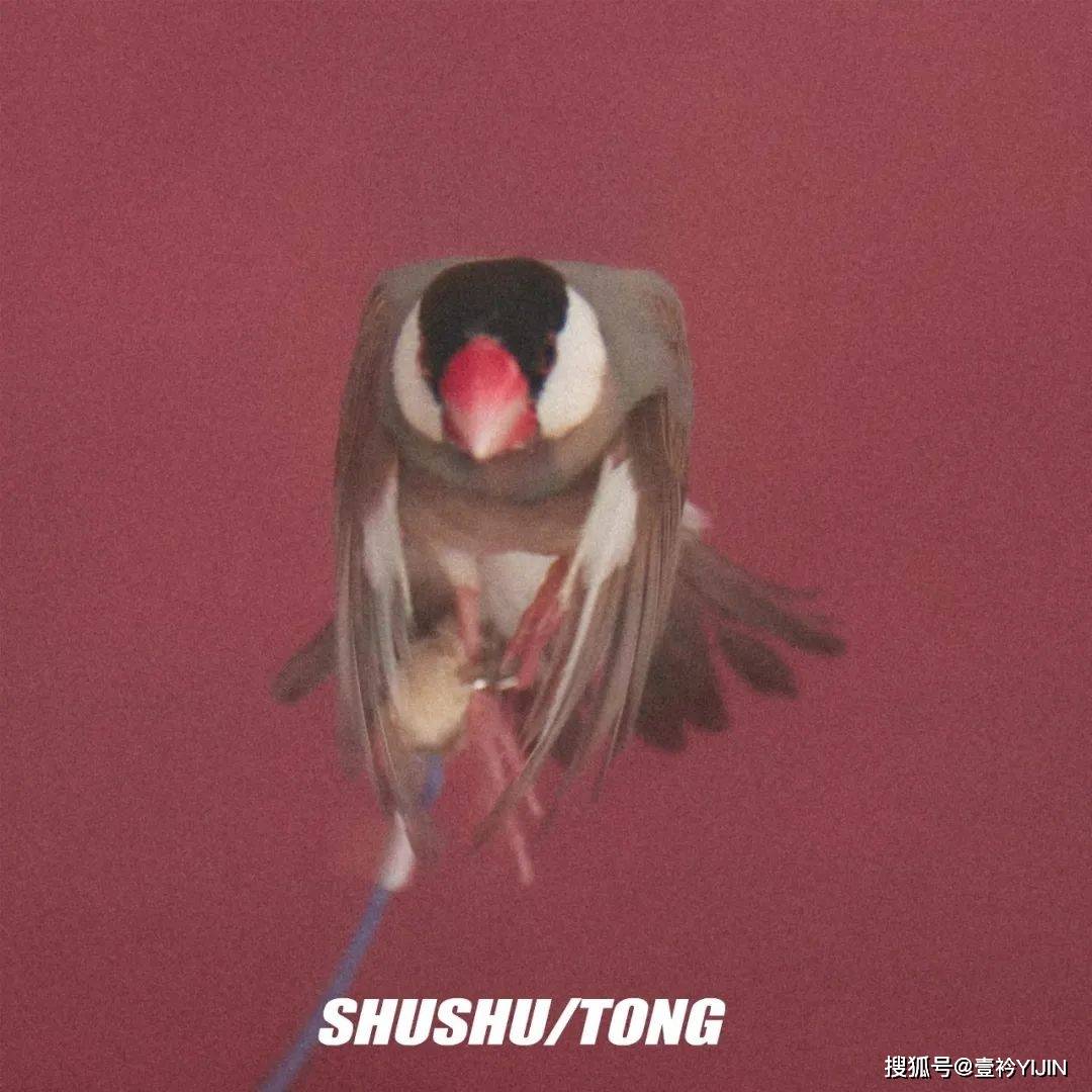 速报|秀场速报 | SHUSHU/TONG女孩请起立，最新系列她来了！