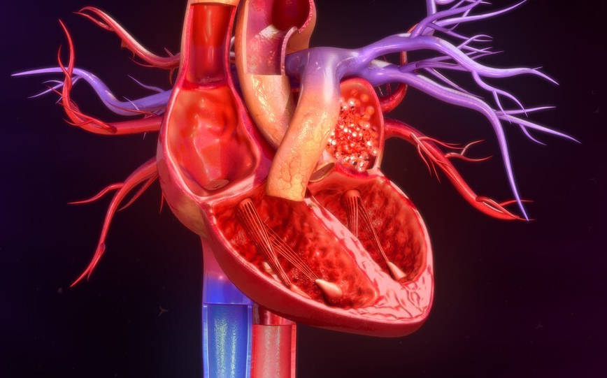 高血压是如何一点一点把心脏和血管弄坏的