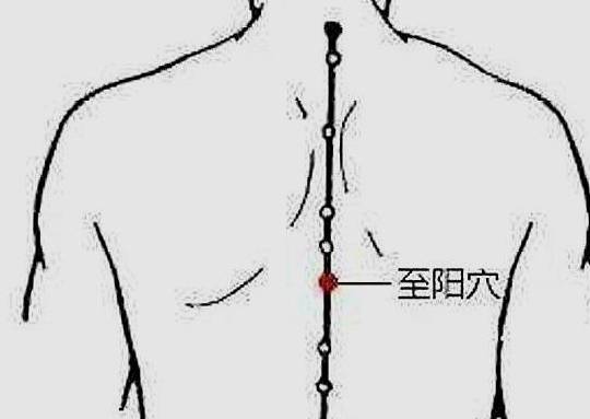 6c656887af4a471a89e3e4cb13c20bf8.jpeg