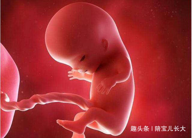 一般几个月怀孕有症状 9bc75245ae2e4bbe9b190bb2f0e76ae9.jpeg