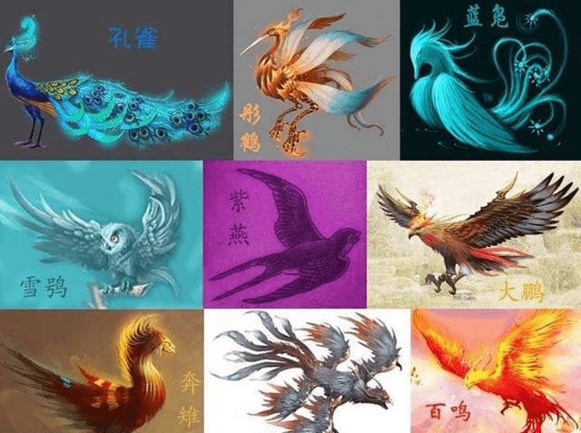 b9e6620bd8584f8db549839c5540fc62.png