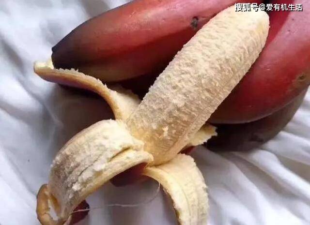 香蕉什么时候成熟的最多 3b3a147e780d449b895a8b318549e5d3.jpeg