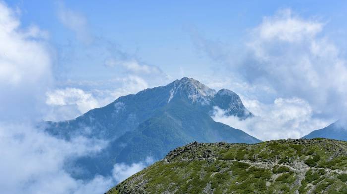 李诚儒郭敬明的争辩,击中了家电企业持续焦虑的要害!-家电圈官网