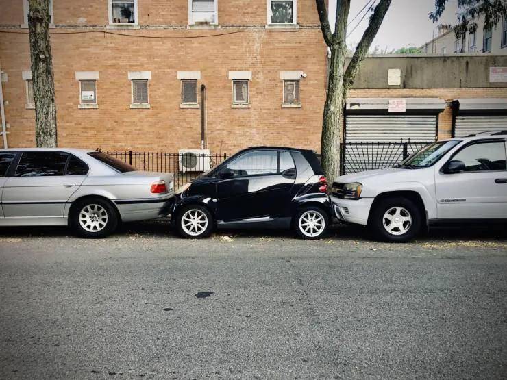 安全感|喵和鱼睡一起,是不是更有安全感?