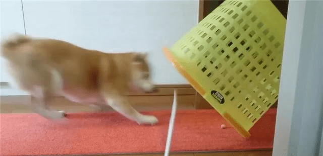 a5f7c218b3d346dd9394211fd566351d.png