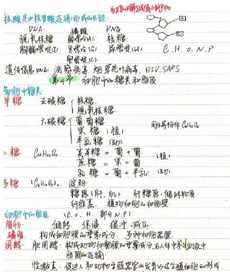 免费好用笔记 99f52533624944fcad1d690078870630.jpeg