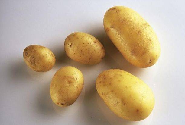 土豆泥做薯片的方法 b89f48742c204fe385ac63ff03efbe5e.jpeg