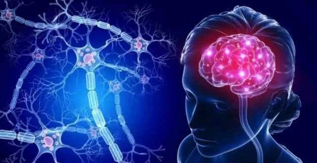 梦见过前排牙齿全掉光，探索梦境背后的深层含义与心理解析