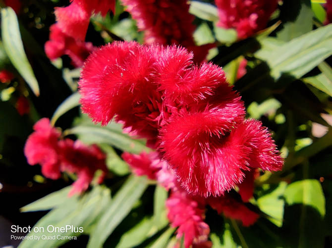 真香|一加 8T详细评测：3399元的真香屏幕超旗舰