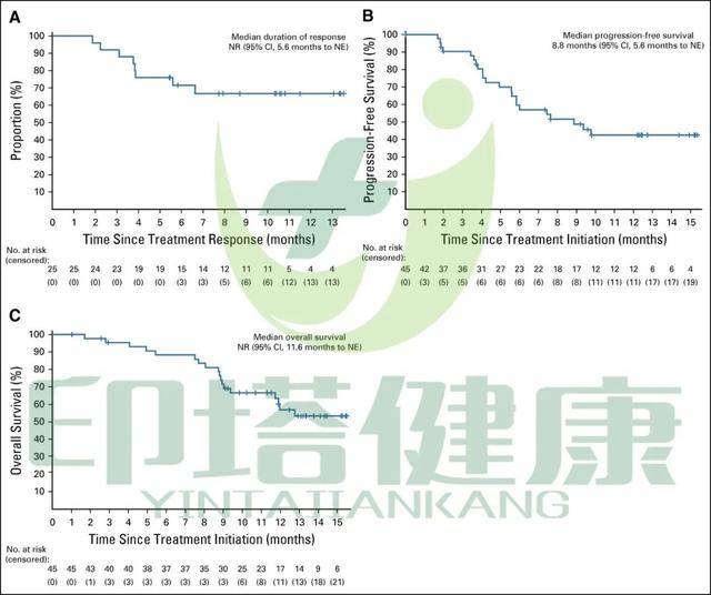 尼日利巫人口