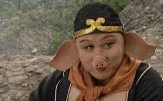 电视剧西游记猪八戒 13926f8575ee4813aef9f12cb2d51ab2.png