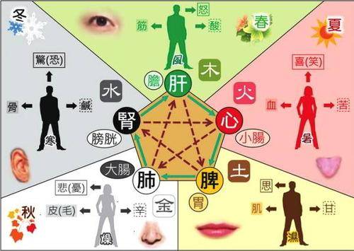 家庭的风水由谁决定 19703a0bdab74c06869f34743249c739.jpeg