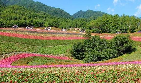 福清市高山镇现人口多少呢_福清市高山镇任厝村(3)