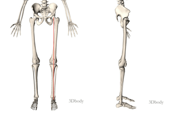 8c6bd264a86146538e5ada37a04d1390.png