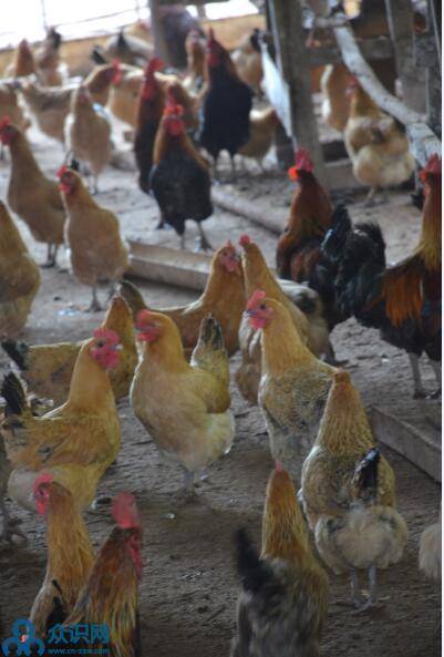 ce47b439bd0b440dbbb6ca5a171e4281.jpeg
