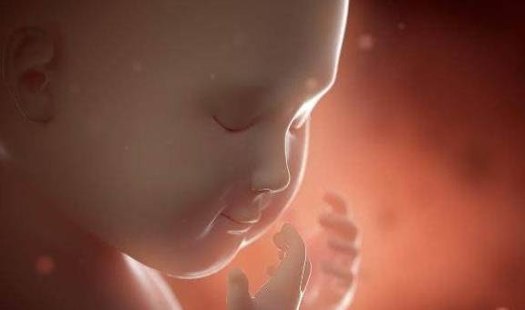 几个月做nt检查 01e68ff9737d408a82a6694acb94b36b.jpeg