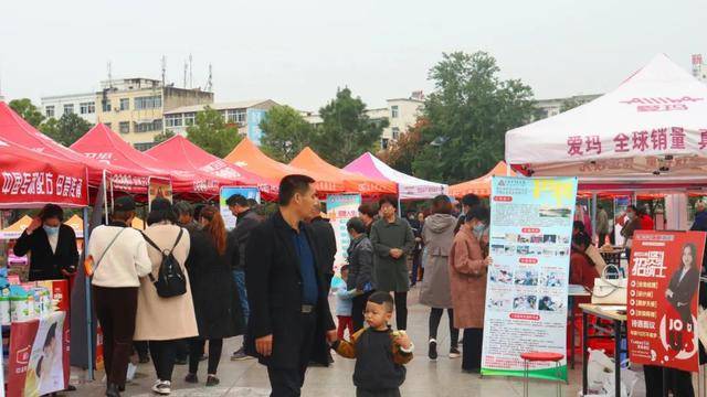 工作|新蔡县举办2020年“稳就业保民生·保就业兜底线” 金秋大型人才招聘会