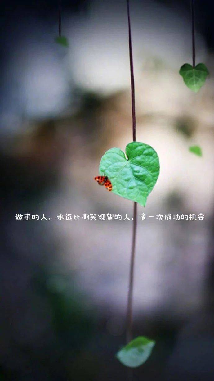 原创晚安心语心情说说美图:过日子是过以后,不是过从前