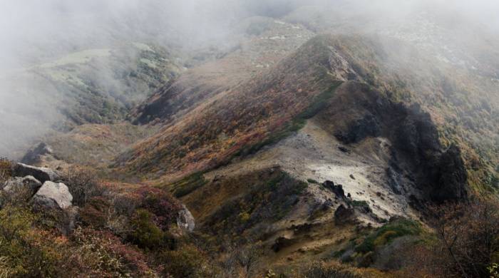 网店的增长与实体店的下滑,本质都是家电消费的问题-家电圈官网