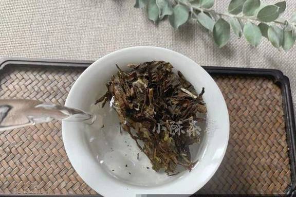 新茶|但是老茶是要闷的，请别在相信这无稽之谈新茶有些不太适合闷泡