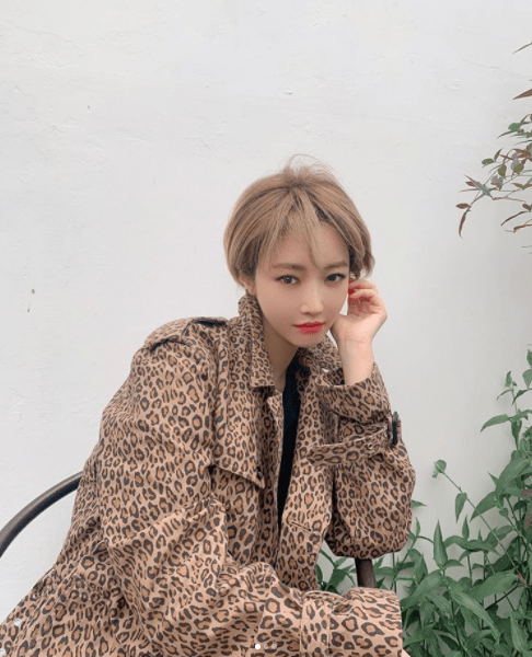 短发|舒淇、徐若瑄都剪短了！蓬松的【男孩风】短发，实在是太飒了