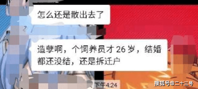 太可惜了！上海被熊咬身亡的饲养员才26岁