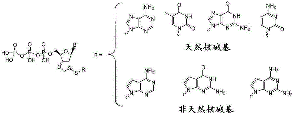 治疗|乙肝在研新药治疗性寡核苷酸，调节敏感分子靶点，慢性肝病新策略