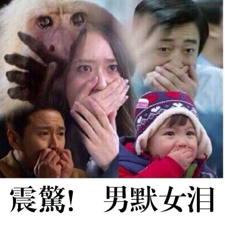 谢杏芳晒甜蜜旧照示爱林丹,被孕期出轨,还疑红毯