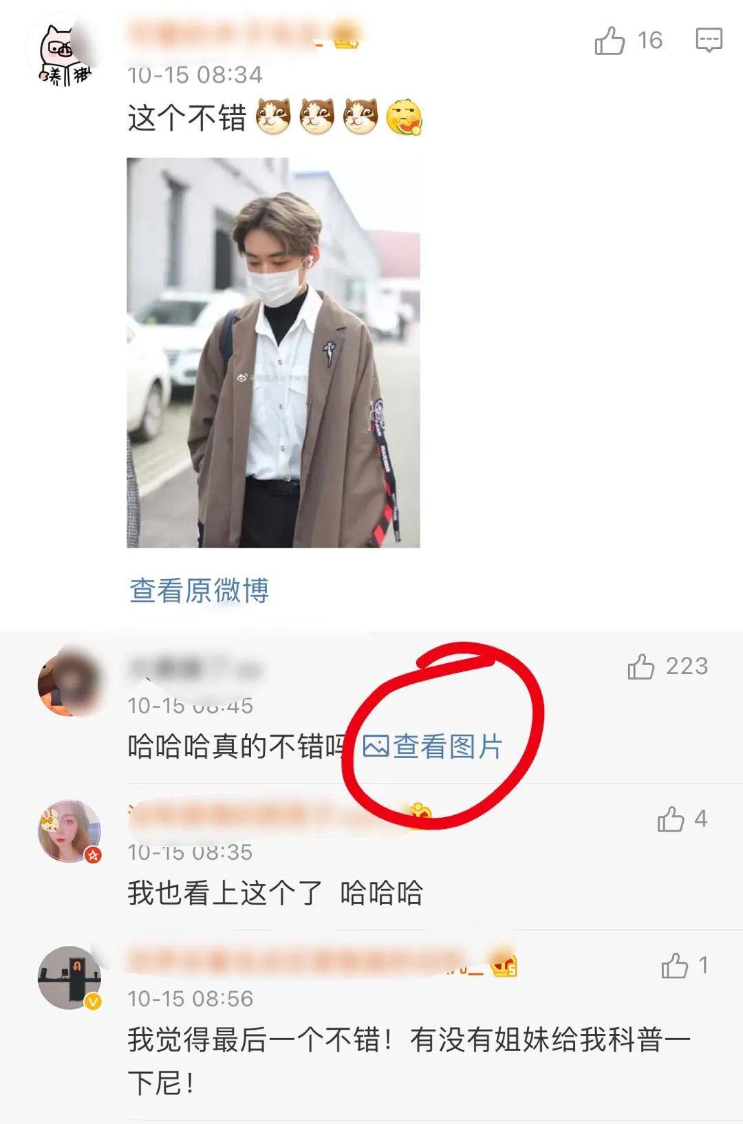 选秀节目太饱和？不是在选秀，就是在参与选秀